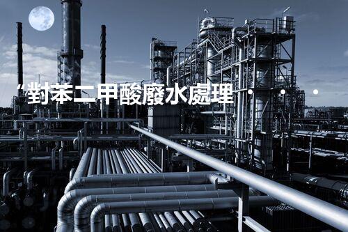 “對苯二甲酸廢水處理，綠色創(chuàng)新引領環(huán)保新篇章”